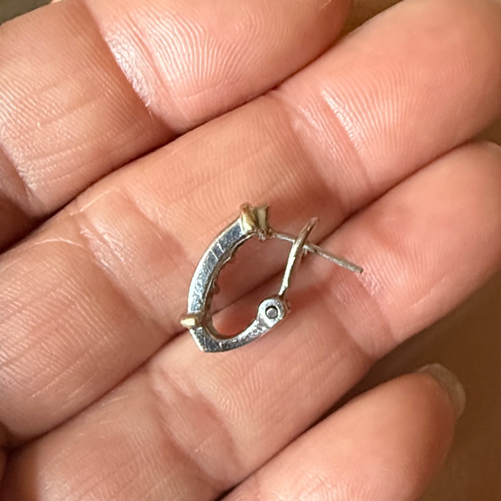 Elegant Silver and Gold Hoop Earrings